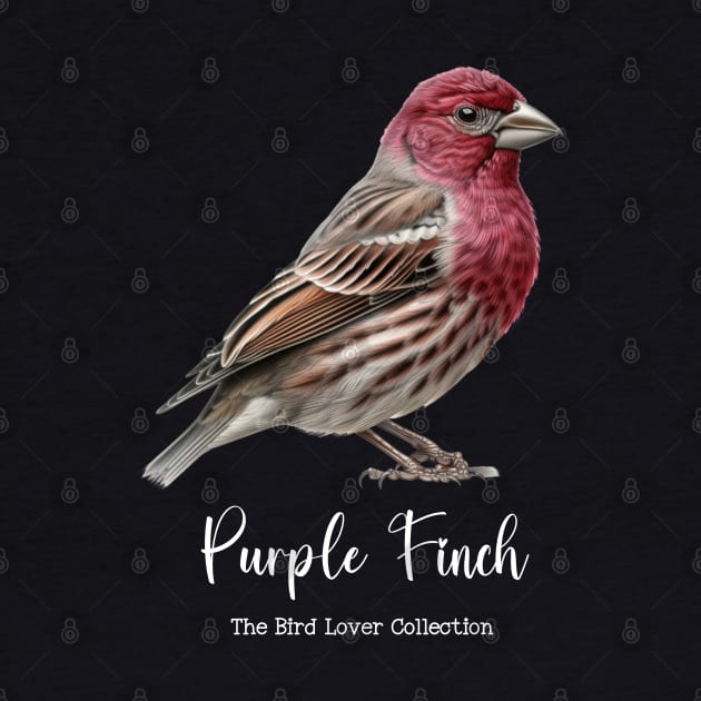 Purple Finch - The Bird Lover Collection by goodoldvintage